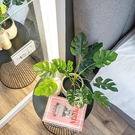 Majestic With View In Magheru *